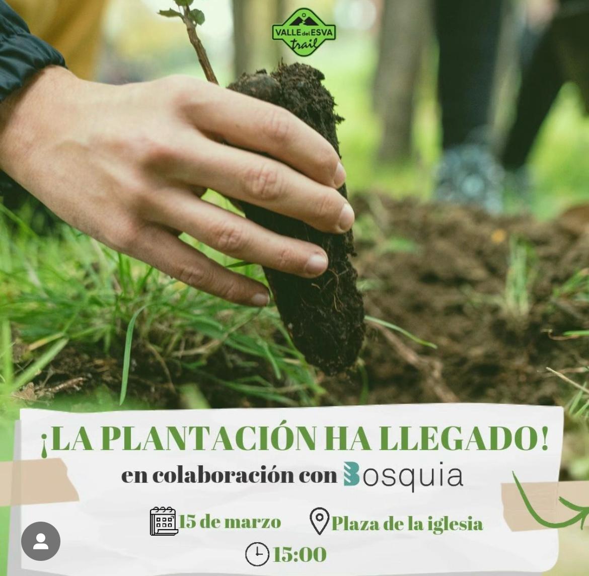 Plantación forestal solidaria en Trevías